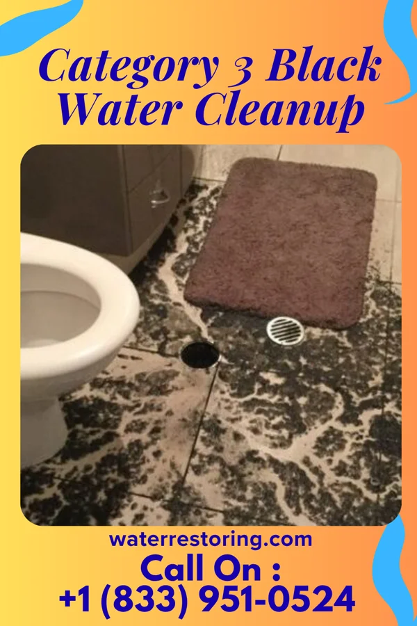 Category 3 Black Water Cleanup in Everest, KS