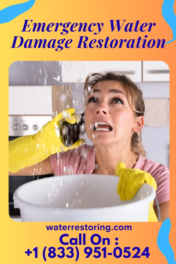Emergency Water Damage Restoration in Everest, KS