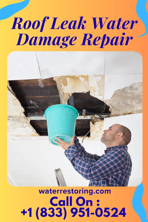 Roof Leak Water Damage Repair in Everest, KS